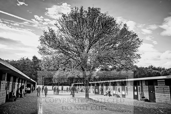 Goffs Orby 2017-246