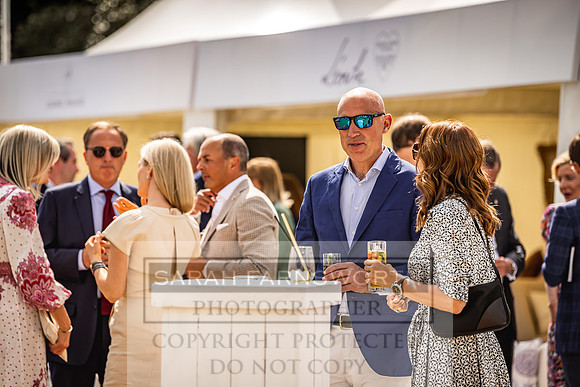 Goffs London Sale 2022-223