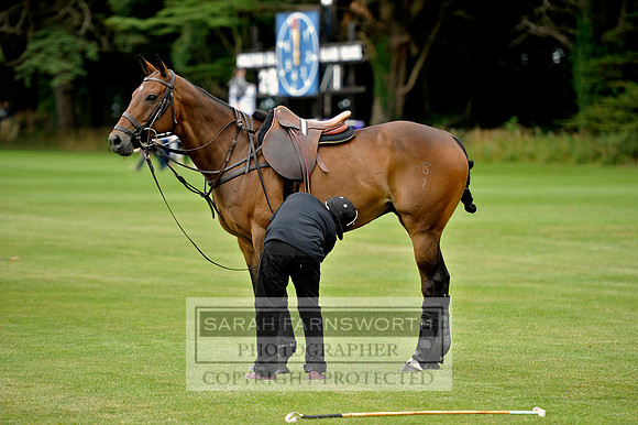 Cirencester Polo CF3 690