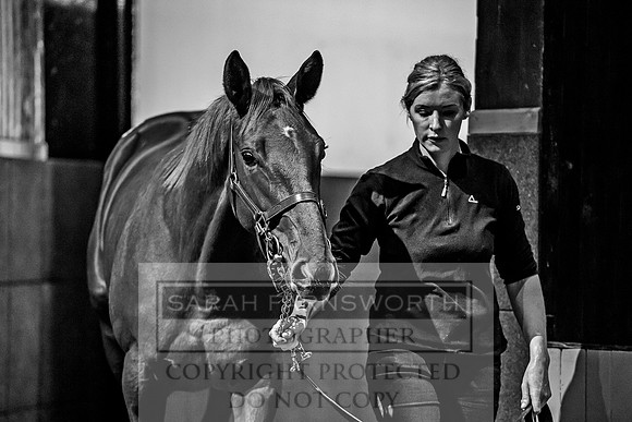 Goffs Orby 2017-228