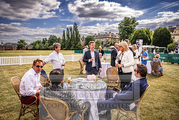 Goffs London Sale 2022-253