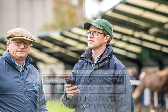 Goffs Orby 2017-649
