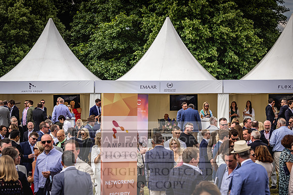 Goffs London Sale 2022-291