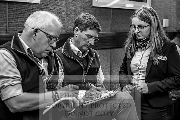 Goffs Orby 2017-301