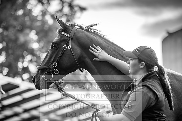 Goffs Orby 2017-163