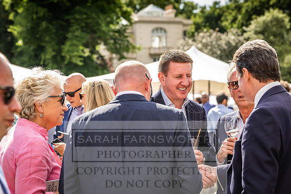 Goffs London Sale 2022-357