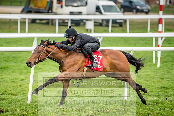 GUK Breeze Up 2018-249