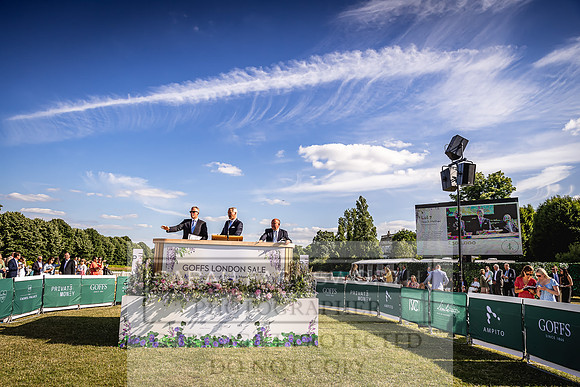 Goffs London Sale 2022-540