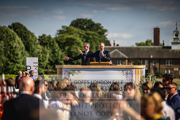 Goffs London Sale 2022-502
