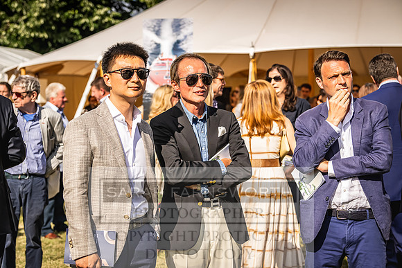 Goffs London Sale 2022-446