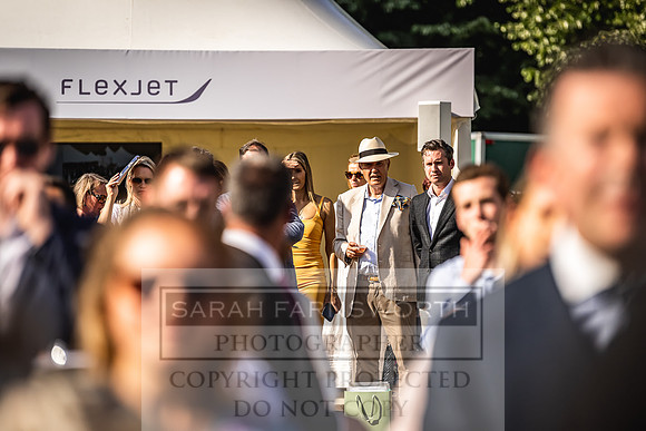 Goffs London Sale 2022-520
