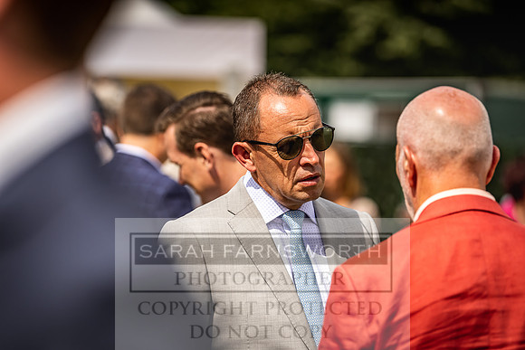Goffs London Sale 2022-202
