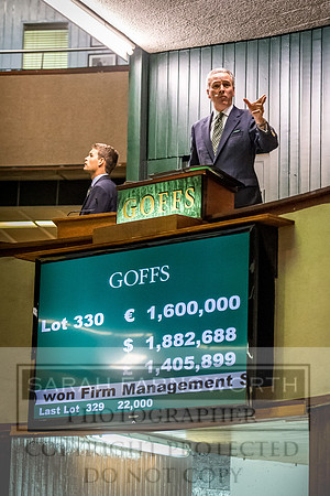 Goffs Orby 2017-686