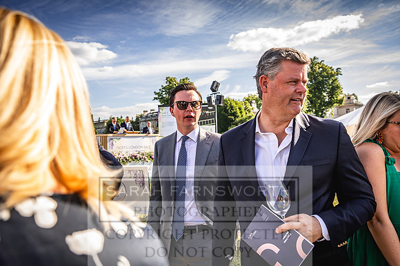 Goffs London Sale 2022-538