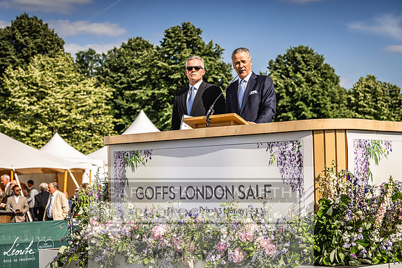 Goffs London Sale 2022-447