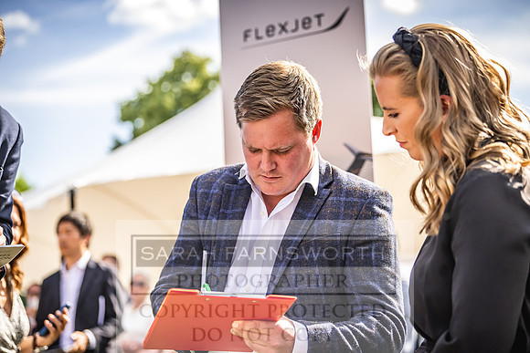 Goffs London Sale 2022-460