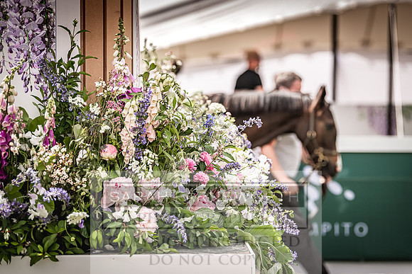 Goffs London Sale 2022-35