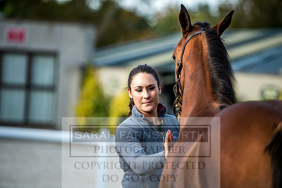 Goffs Orby 2017-114