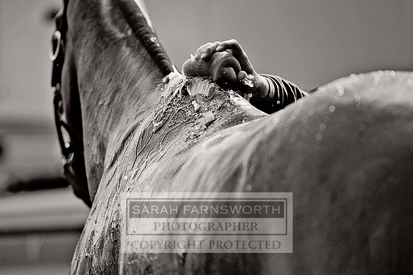 Cirencester Polo CF3 1277 bw