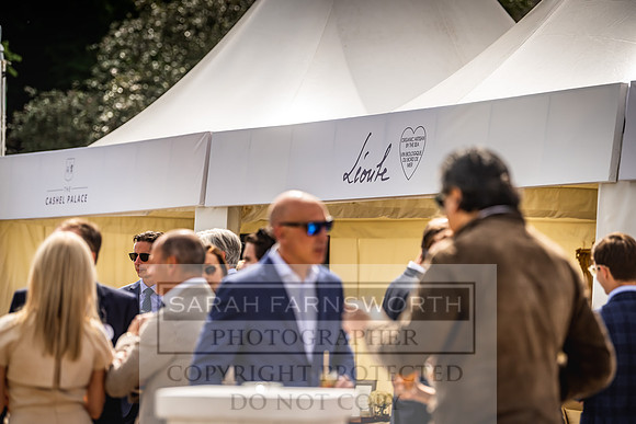 Goffs London Sale 2022-218