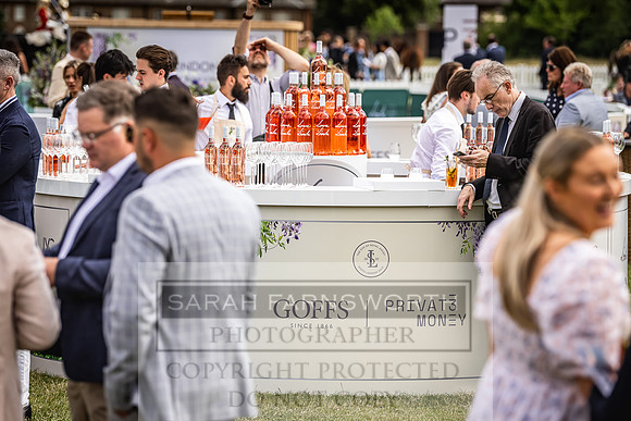 Goffs London Sale 2022-238