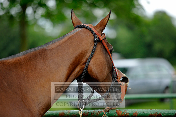 Cirencester Polo CF3 049