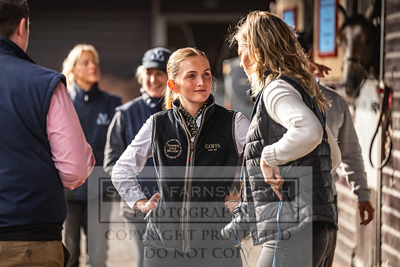 Goffs UK PY24-28
