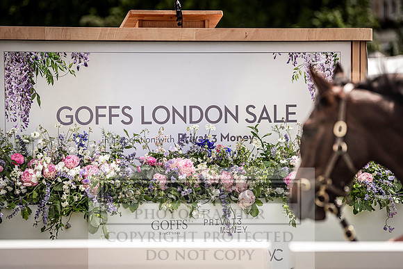 Goffs London Sale 2022-39