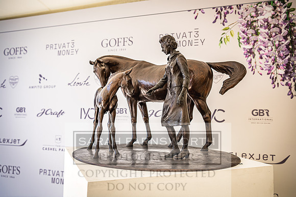 Goffs London Sale 2022-119