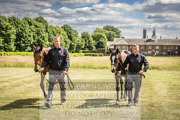 Goffs London Sale 2022-90