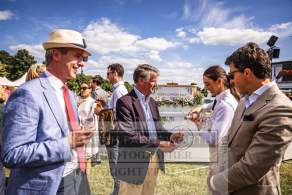 Goffs London Sale 2022-338