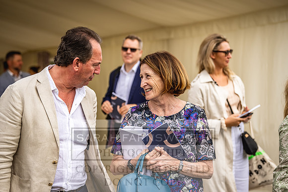 Goffs London Sale 2022-196