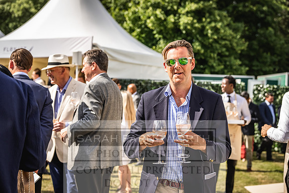 Goffs London Sale 2022-382
