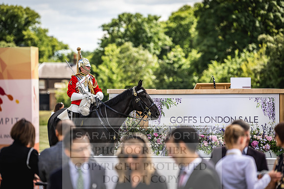 Goffs London Sale 2022-180