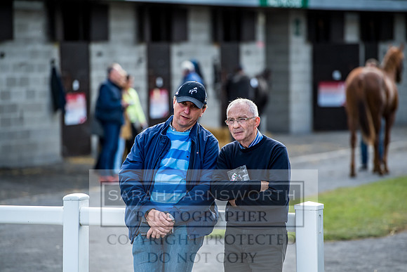Goffs Orby 2017-293