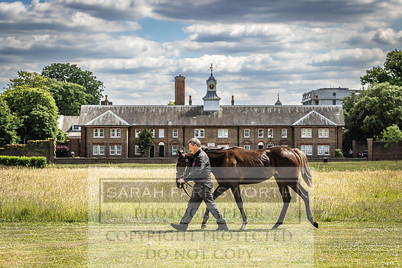 Goffs London Sale 2022-83