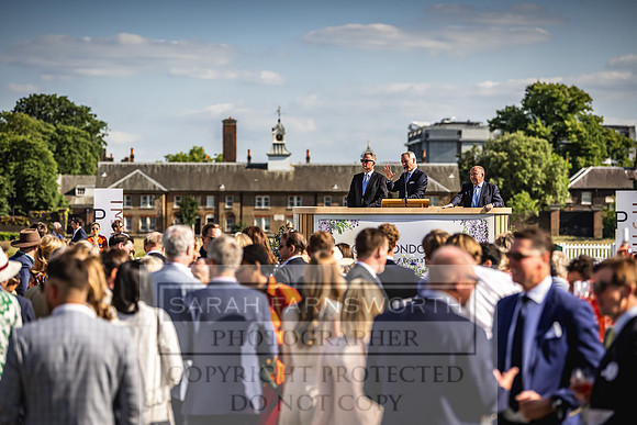 Goffs London Sale 2022-500