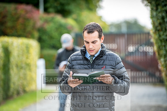 Goffs Orby 2017-189