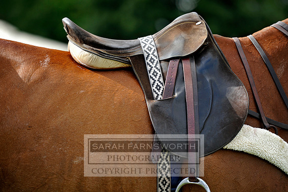 Cirencester Polo CF3 1359