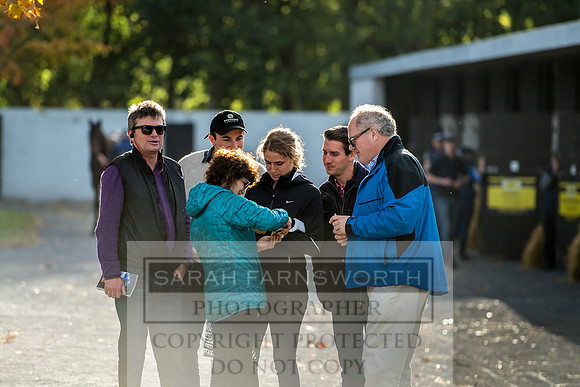 Goffs Orby 2017-332