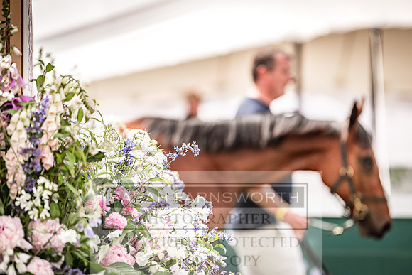Goffs London Sale 2022-37