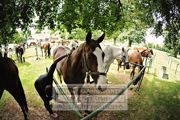 Cirencester Polo CF4 055