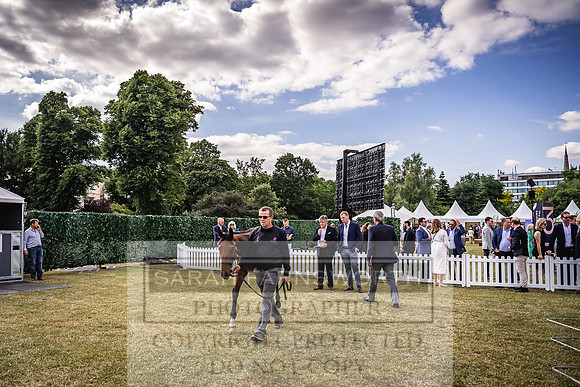 Goffs London Sale 2022-399