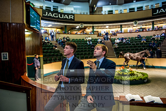 Goffs Orby 2017-208