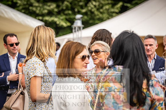 Goffs London Sale 2022-243