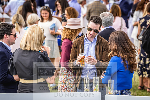 Goffs London Sale 2022-411