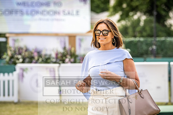 Goffs London Sale 2022-107