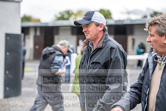 Goffs Orby 2017-634