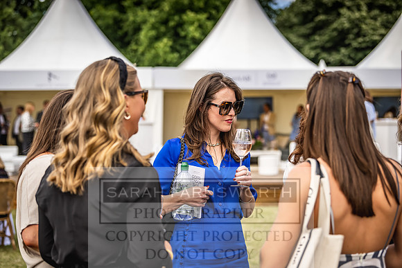 Goffs London Sale 2022-188