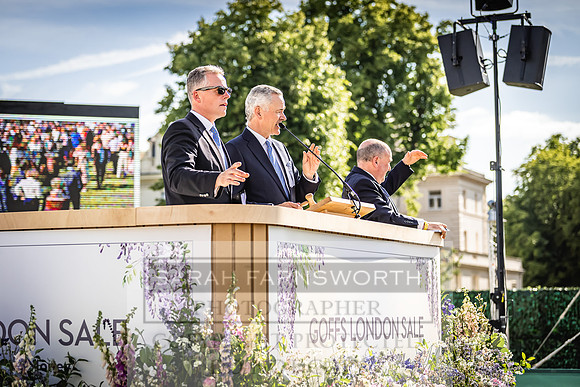 Goffs London Sale 2022-479